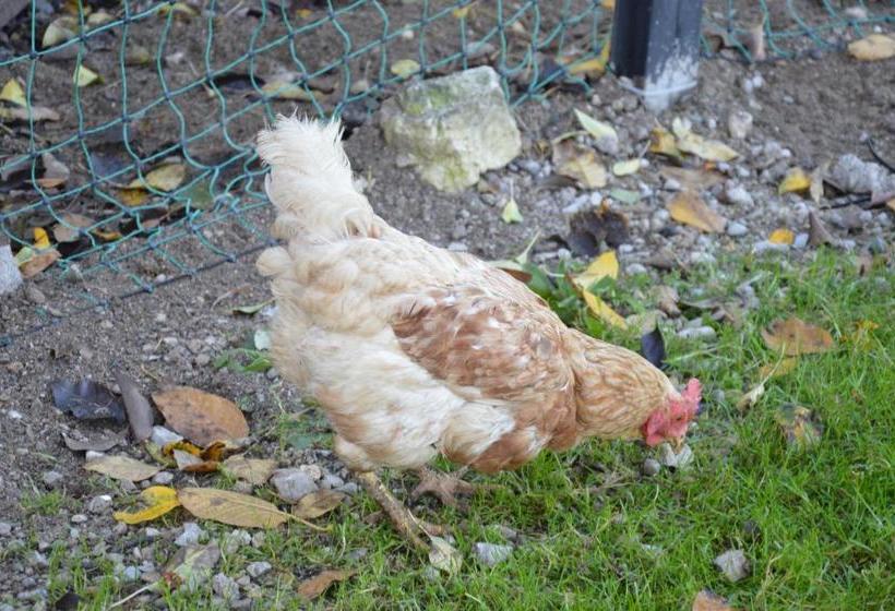 ホテル Bauernhof Unterhöfner