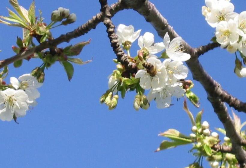 ホテル Bauernhof Unterhöfner