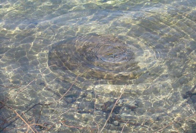 ホテル Bauernhof Unterhöfner