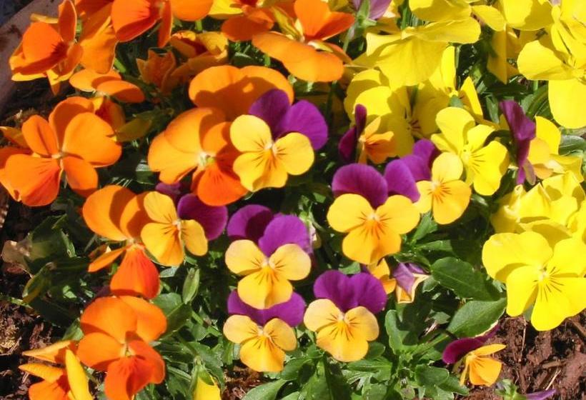 ホテル Bauernhof Unterhöfner