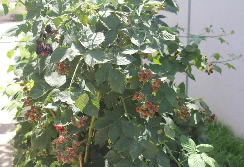 Karaagac Green Edirne