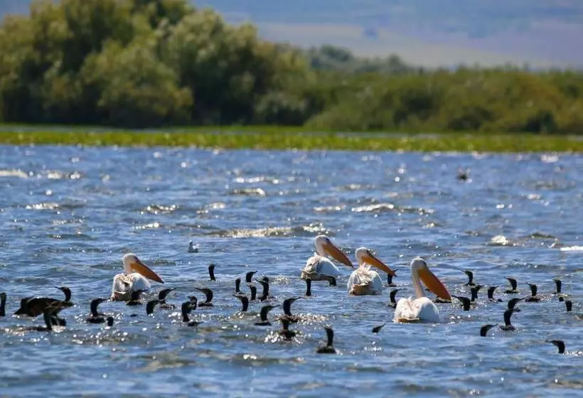 پانسیون Delta Pontoon