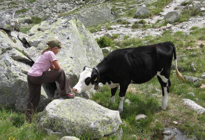 פנסיון Landhaus Tipotsch