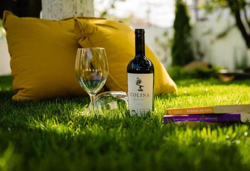 膳宿费 Nb Boutique