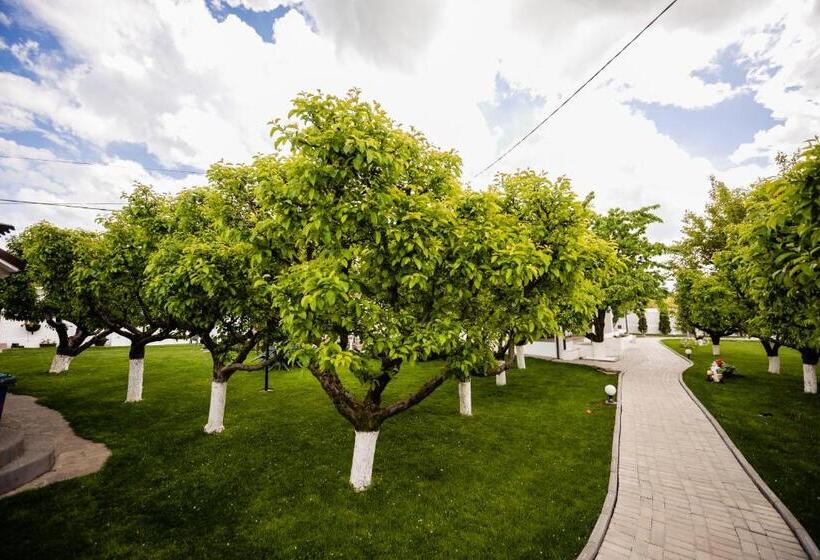 膳宿费 Nb Boutique