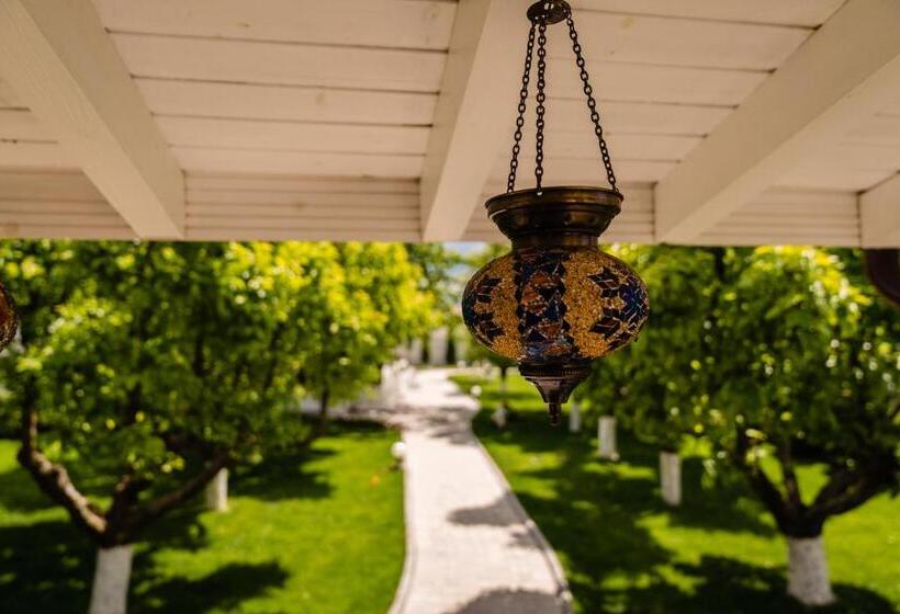 膳宿费 Nb Boutique