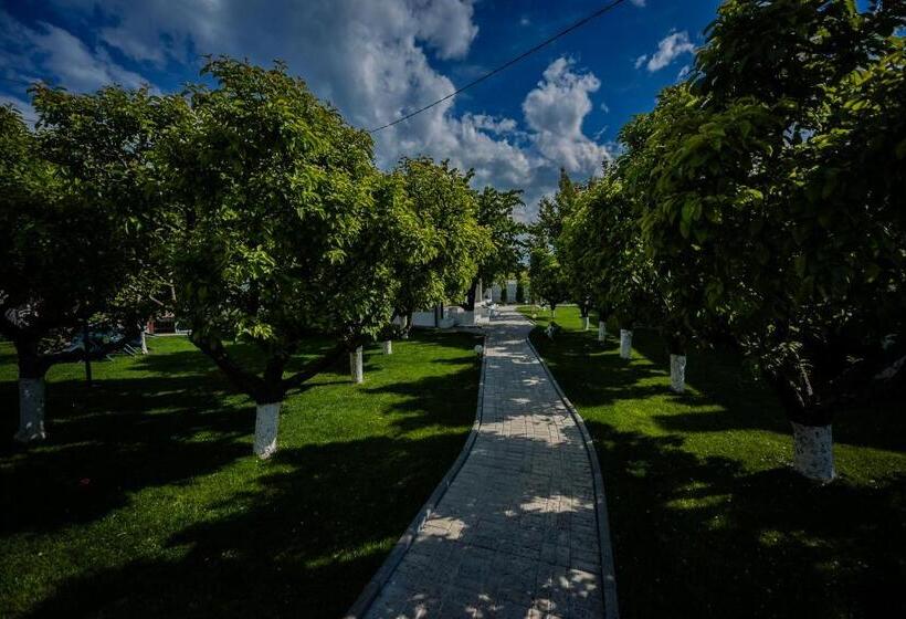 膳宿费 Nb Boutique