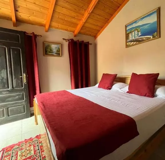 ペンション Rooms Emiliano Castle Of Kruja