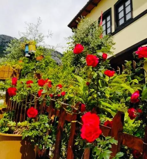 ペンション Rooms Emiliano Castle Of Kruja