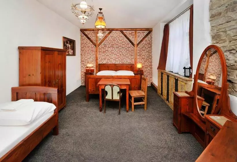 پانسیون Vila U Septima