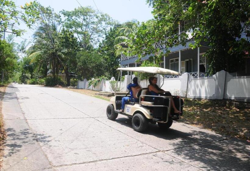 پانسیون Coconut Paradise Lodge
