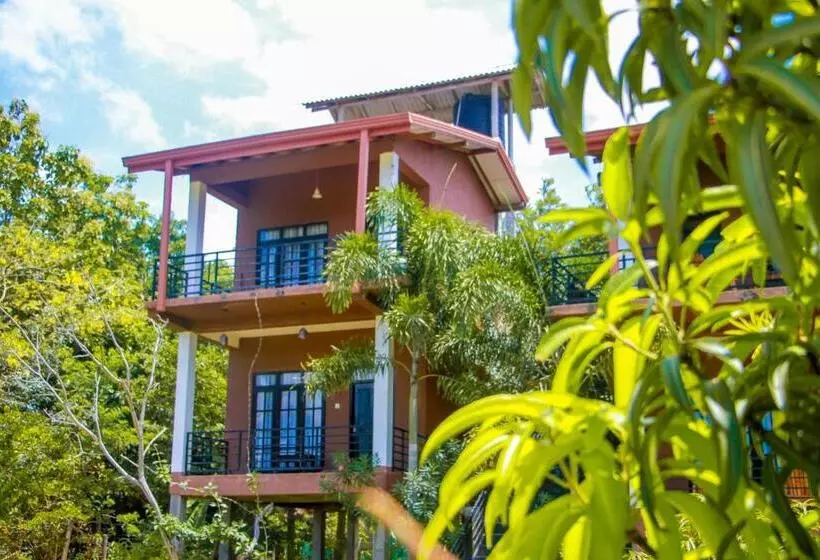 ペンション Darshani Lodge
