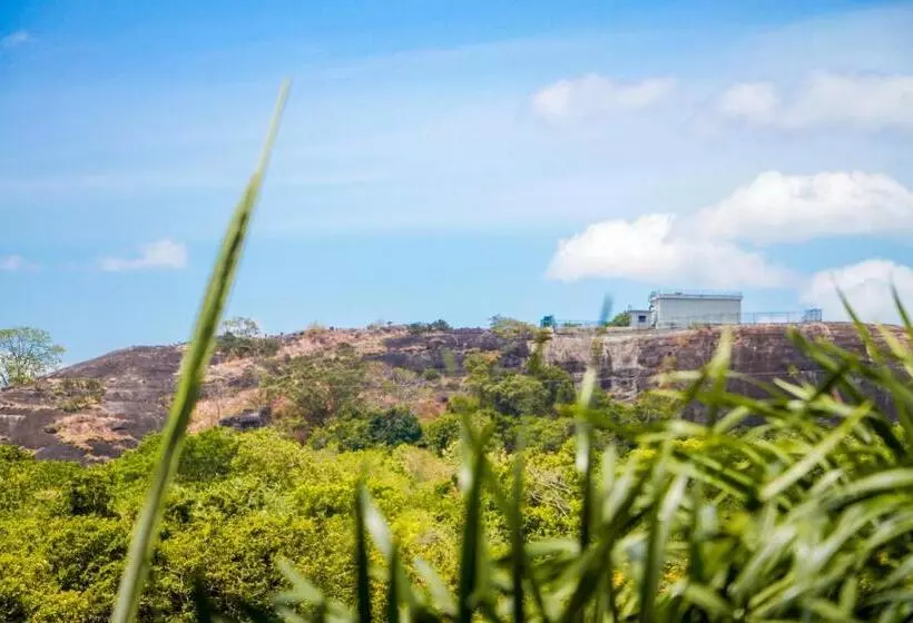 ペンション Darshani Lodge