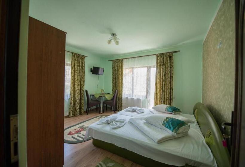 Pensjonat Dupa Apa La Razvan