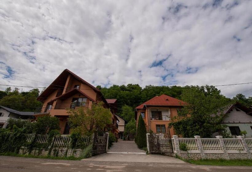 Pensjonat Dupa Apa La Razvan
