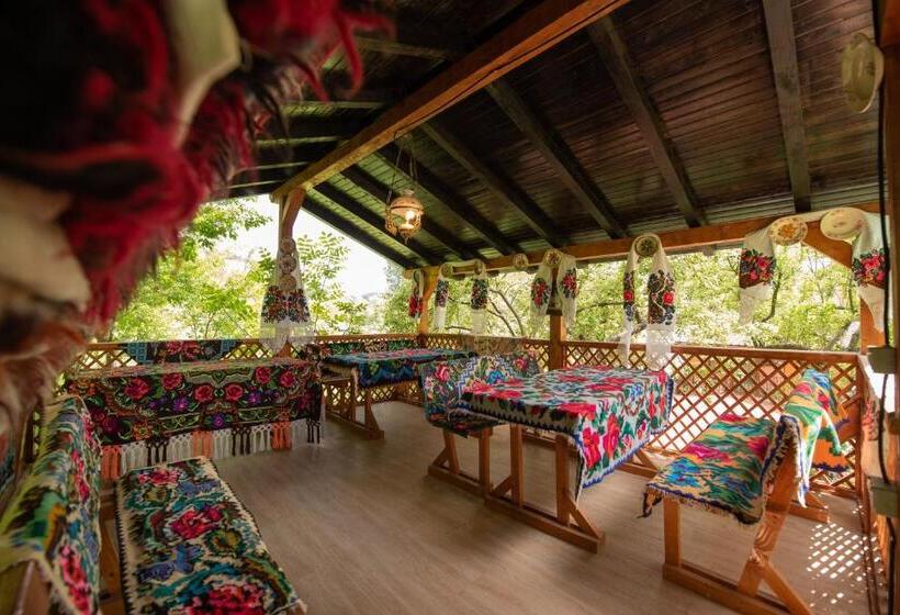 Pensjonat Dupa Apa La Razvan