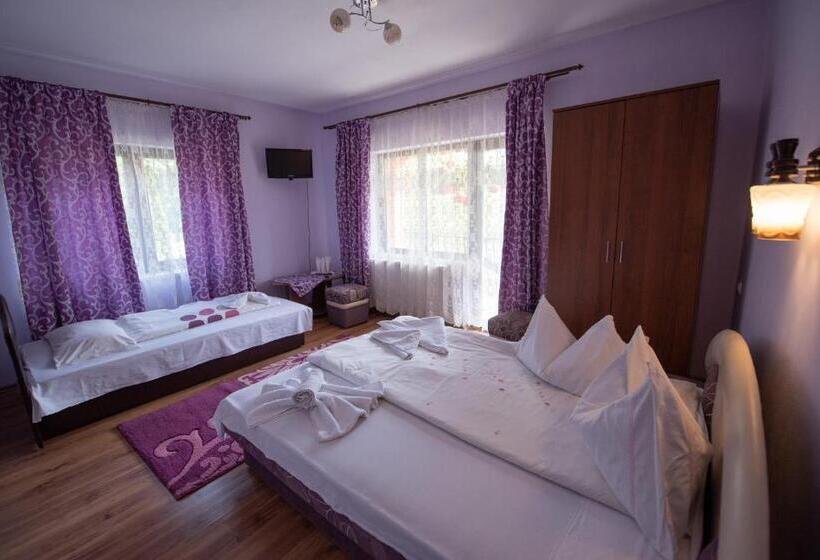 Pensjonat Dupa Apa La Razvan