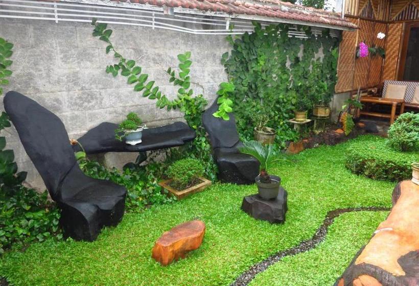 פנסיון Enny S Guest House