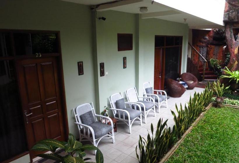 פנסיון Enny S Guest House