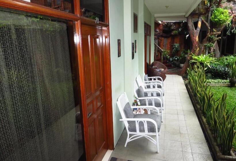 פנסיון Enny S Guest House