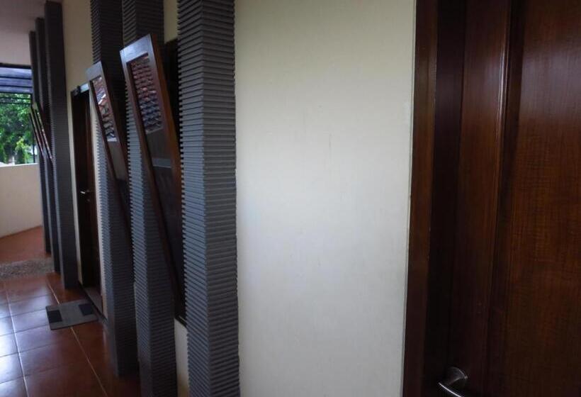 פנסיון Enny S Guest House