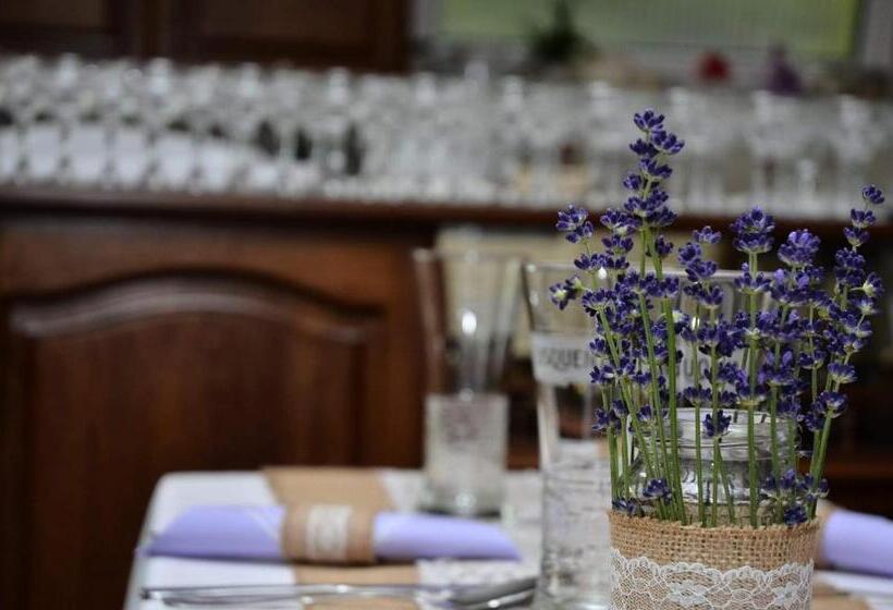 Пансион Gránit Villa