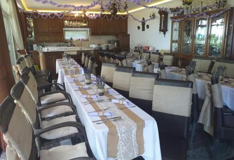 Пансион Gránit Villa