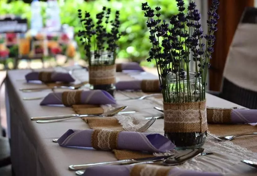 ペンション Gránit Villa