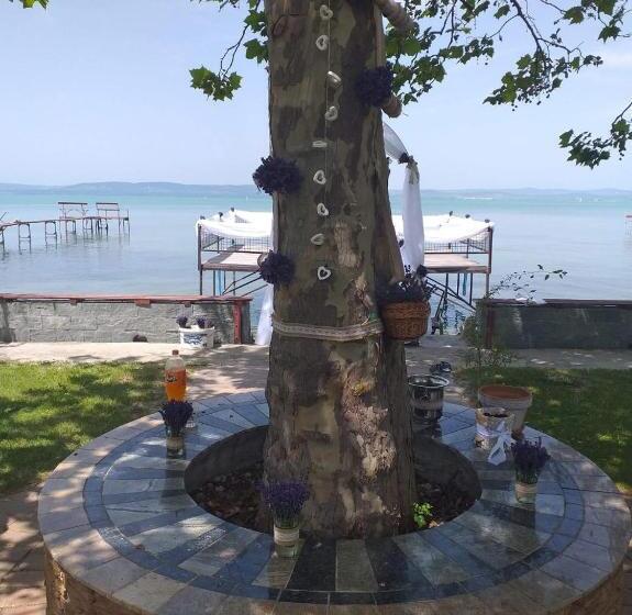 Пансион Gránit Villa