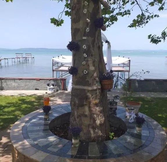 ペンション Gránit Villa