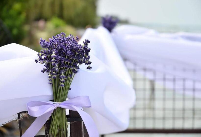 Пансион Gránit Villa