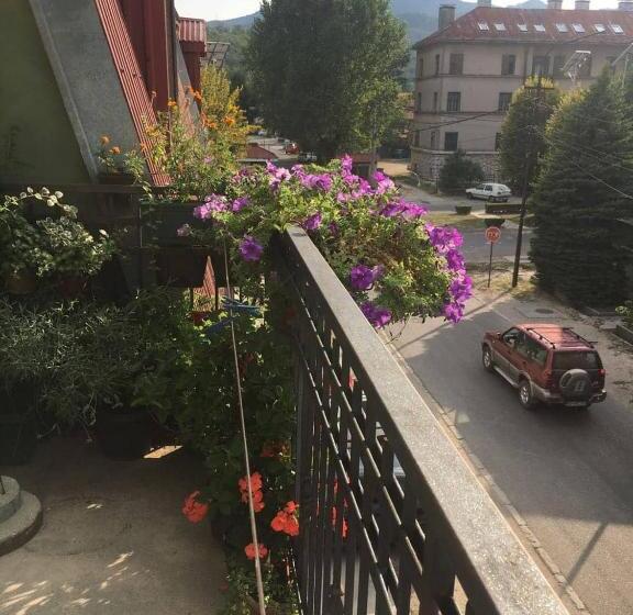 پانسیون Guest House Pansion 10