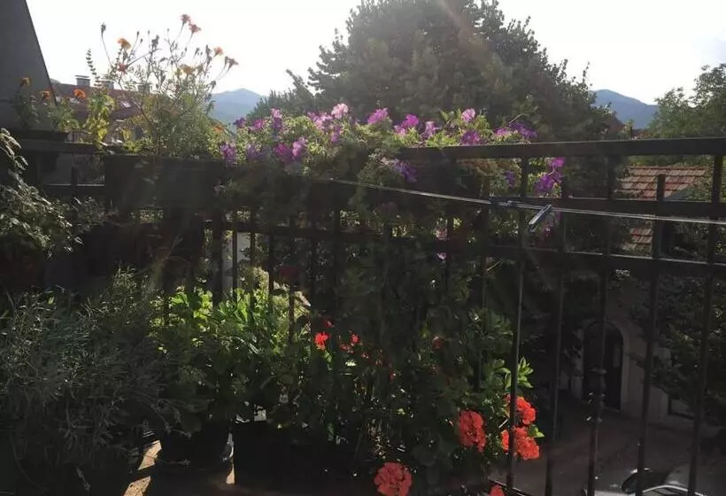 پانسیون Guest House Pansion 10