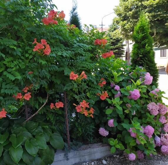 پانسیون Guest House Pansion 10