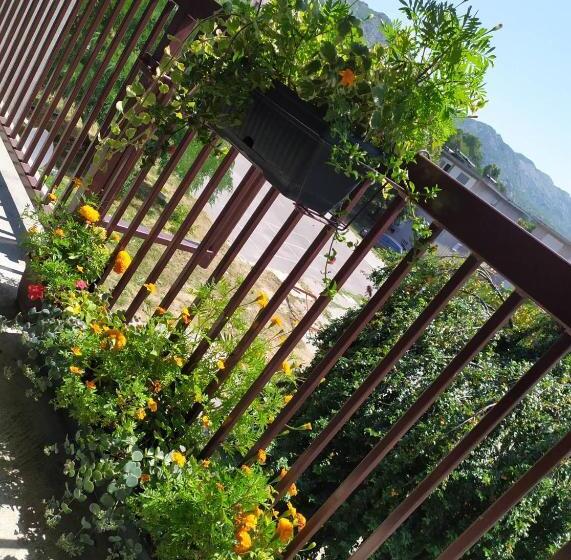 پانسیون Guest House Pansion 10