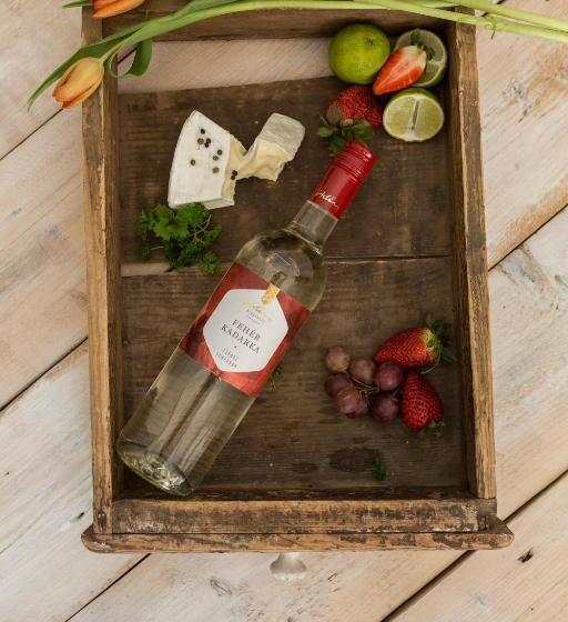 ペンション Hetényi Apartmanház és Birtok