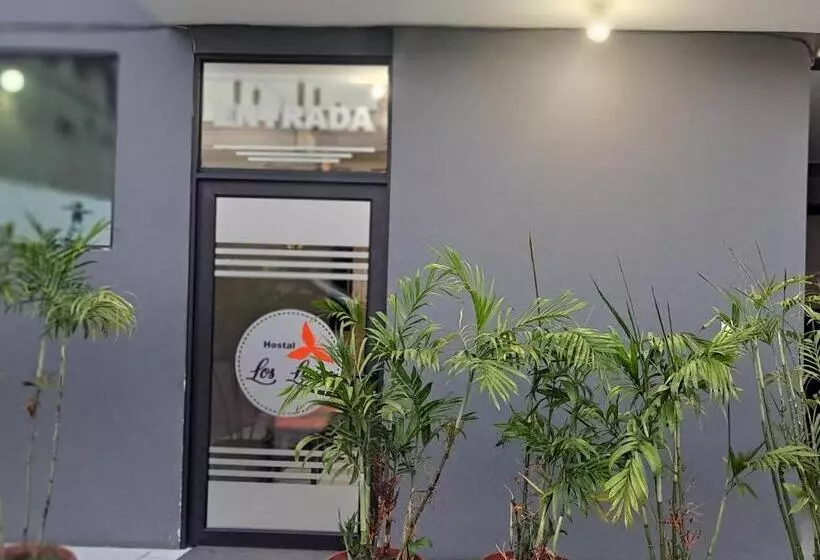 پانسیون Hostal Los Lirios
