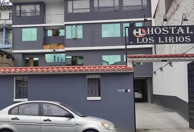 پانسیون Hostal Los Lirios