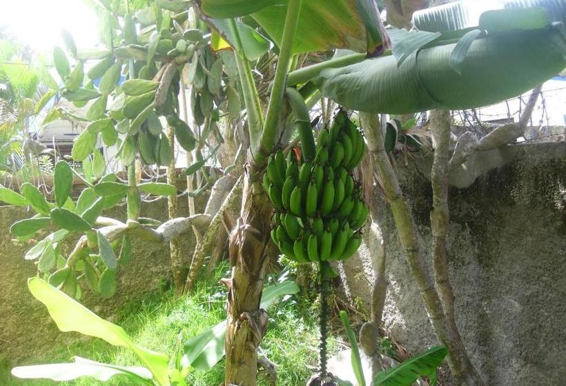 Residencial El Mirador