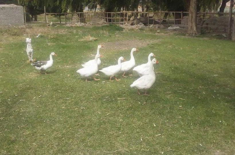 הוסטל Posada 50 Nudos Al Paso Aguanegra