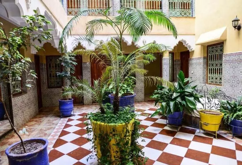 هتل Hôtel Faouzi