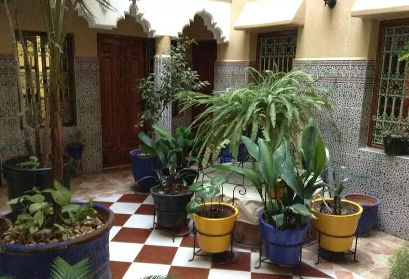 هتل Hôtel Faouzi