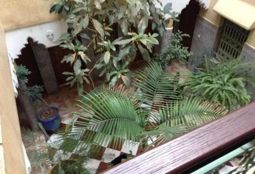 هتل Hôtel Faouzi