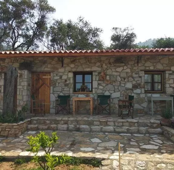 Majatalo Filoxenia The Place Of Experience