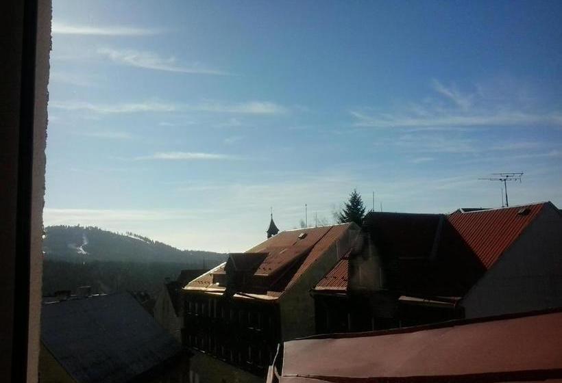 Пансион Penzion Vila Victoria