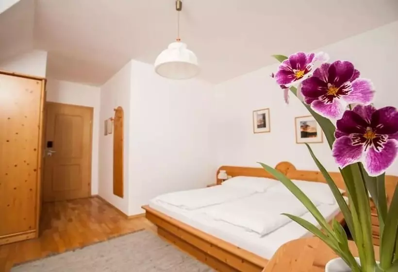 ペンション Winzerhof   Gästehaus Stöger