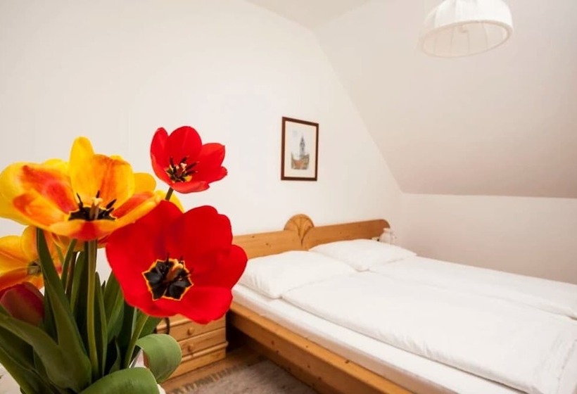 ペンション Winzerhof   Gästehaus Stöger