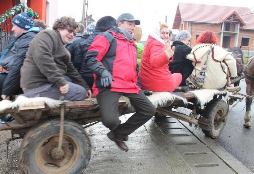 Pensiunea Crinul Alb