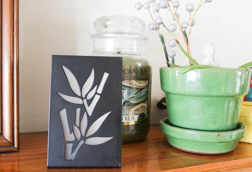 ユースホステル Fairhaven Guesthouse