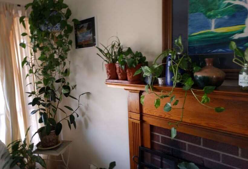 ユースホステル Fairhaven Guesthouse